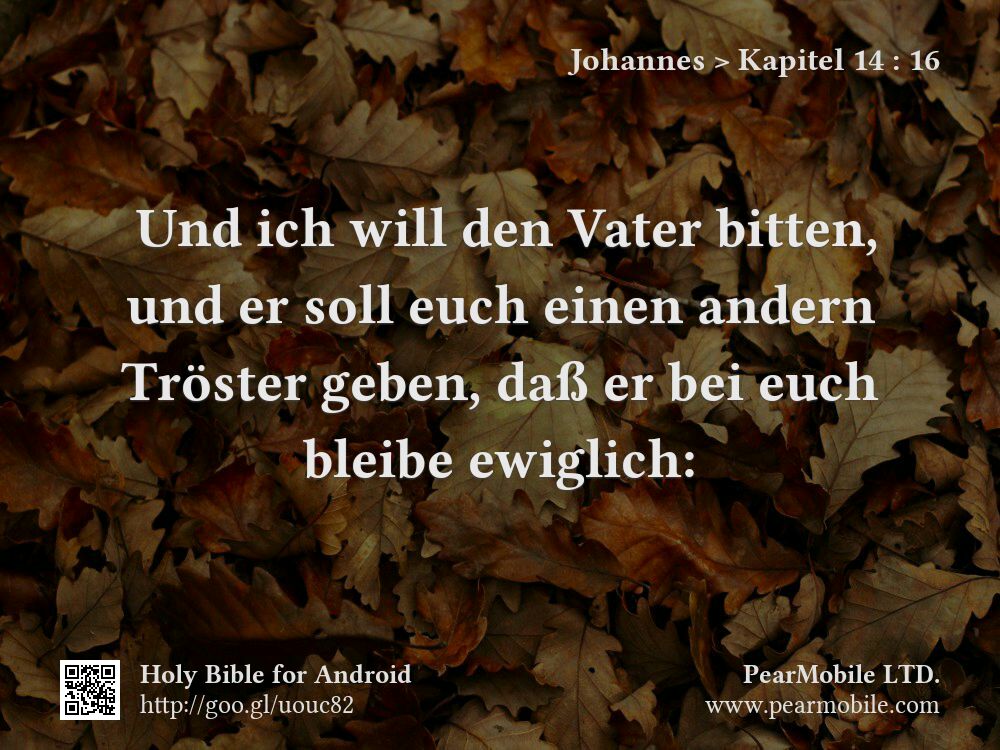 Johannes, Kapitel 14:16